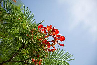 PvE型卡牌游戏《One Turn Kill》Steam页面上线 明年发售